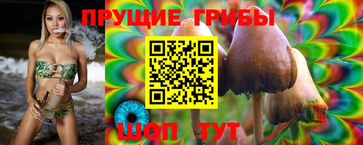 Псилоцибиновые грибы мухоморы Великие Луки